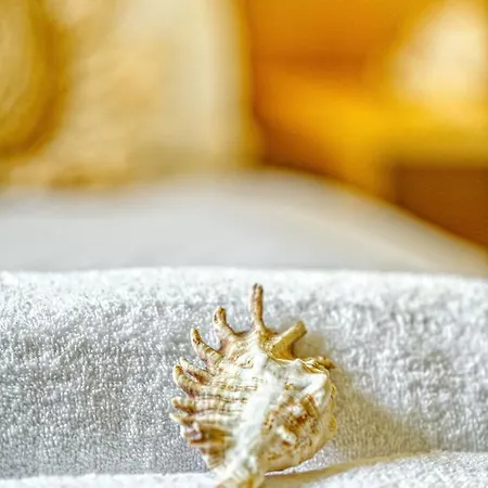 Nautilus * Afra